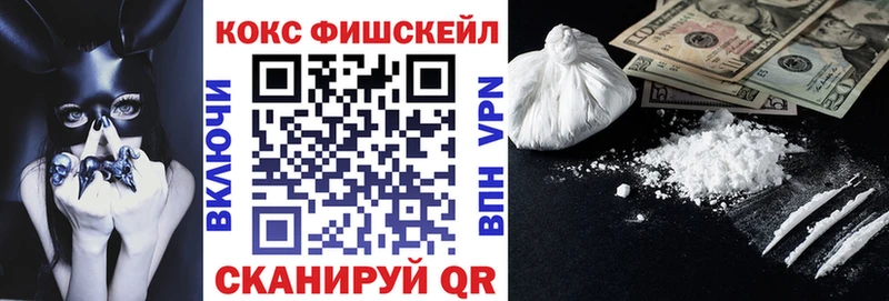закладка  Старая Русса  COCAIN FishScale 