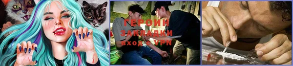 ПСИЛОЦИБИНОВЫЕ ГРИБЫ Аркадак