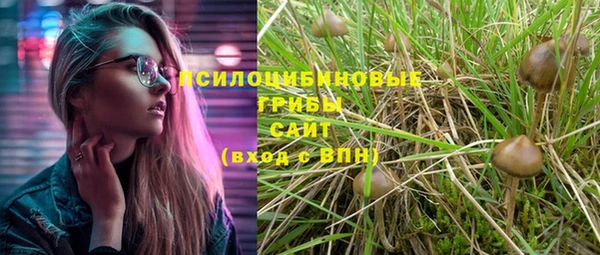 spice Армянск