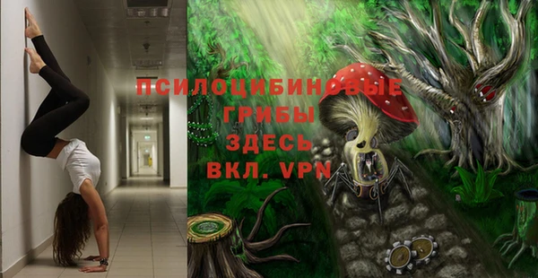 ПСИЛОЦИБИНОВЫЕ ГРИБЫ Аркадак