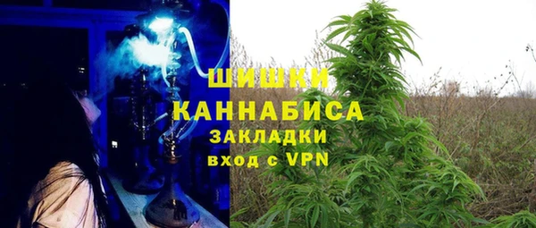 трава Арсеньев