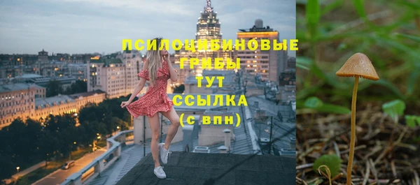 spice Армянск