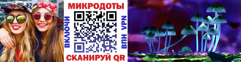 купить наркотики сайты Старая Русса Псилоцибиновые грибы Psilocybe